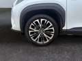 Toyota Yaris Cross Hybrid 130 1.5 Style Plus *ACC*RCam* Schwarz - thumbnail 22