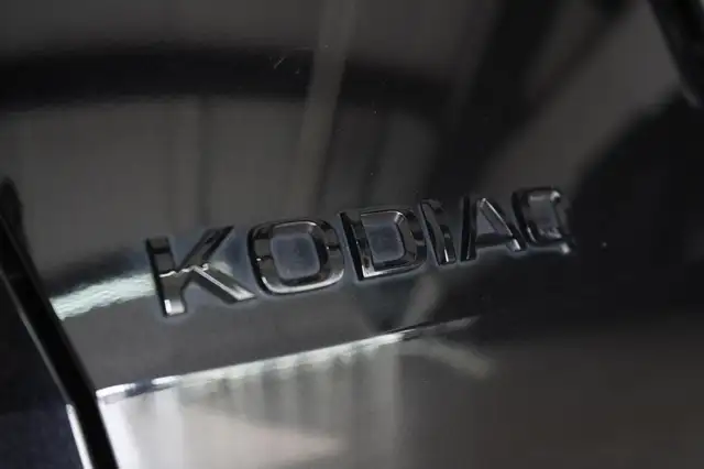 Skoda Kodiaq view 14