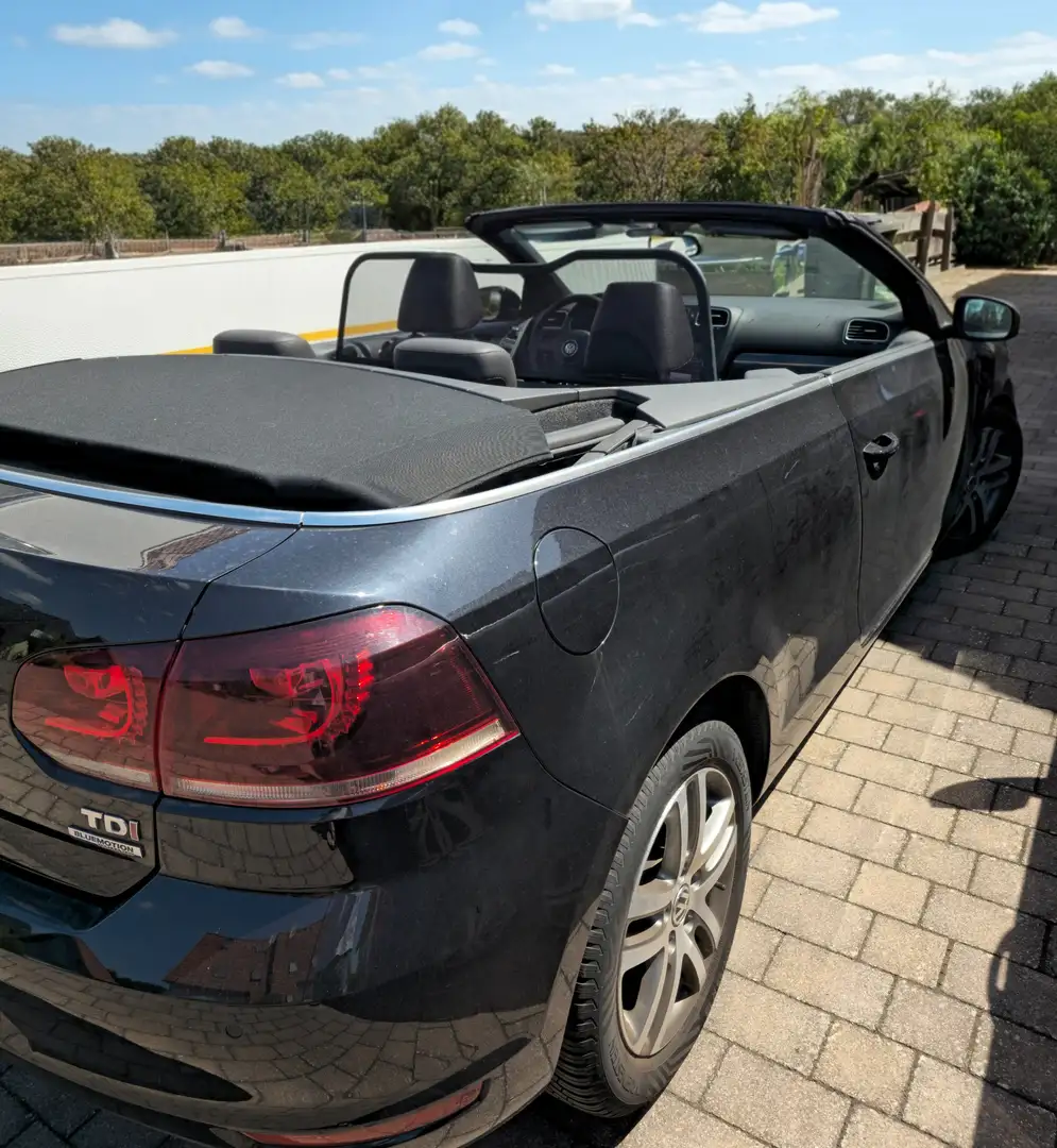 Volkswagen Golf Cabriolet Golf VI Cabrio Diesel Cabrio 1.6 TDI 140 Ps Schwarz - 2
