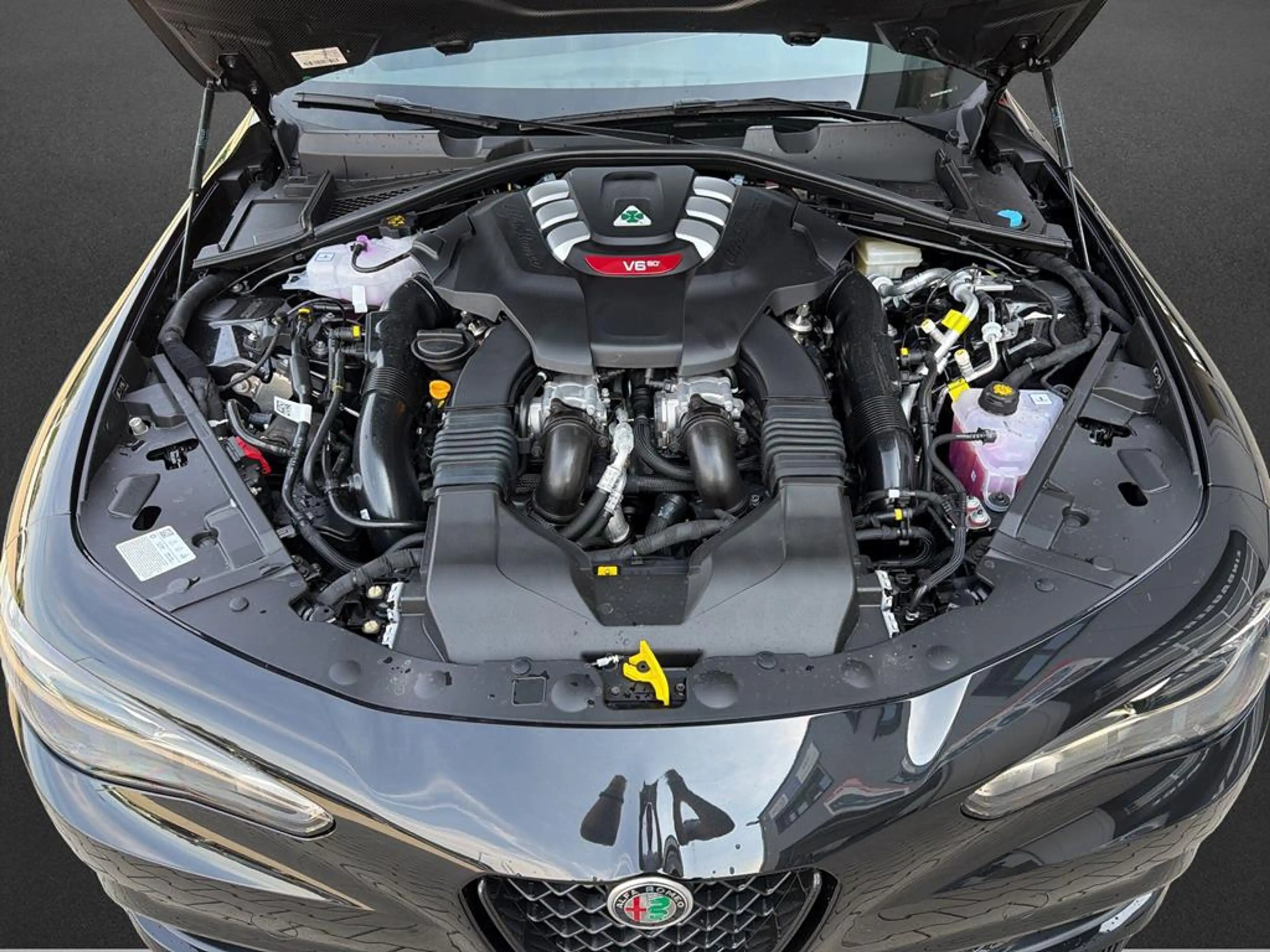 Alfa Romeo Giulia Quadrifoglio Oro Sondermodell Akrapovic — photo 8