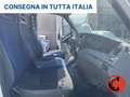 Iveco Daily 33 2.3 HPI PC-TN-L1H1-OTTIME CONDIZIONI-1310KGPORT Alb - thumbnail 21