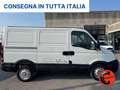 Iveco Daily 33 2.3 HPI PC-TN-L1H1-OTTIME CONDIZIONI-1310KGPORT Bianco - thumbnail 2