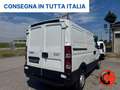Iveco Daily 33 2.3 HPI PC-TN-L1H1-OTTIME CONDIZIONI-1310KGPORT Bianco - thumbnail 7