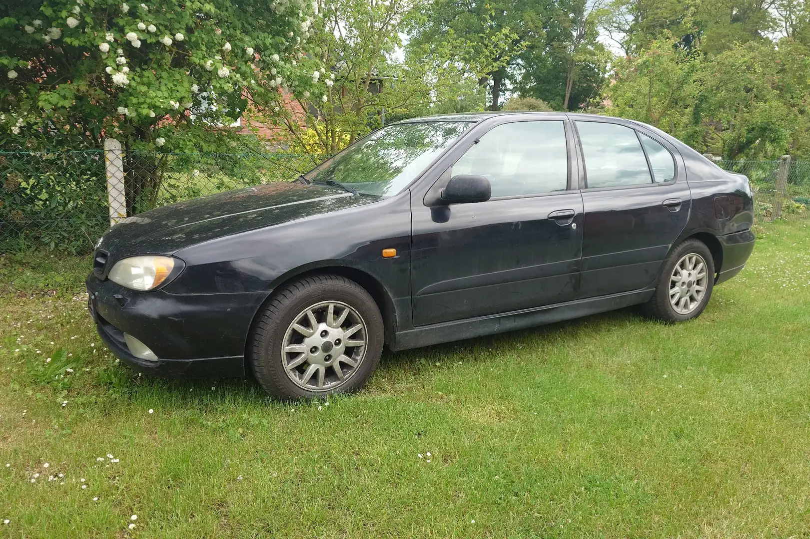 Nissan Primera 2.0 Elegance - 1