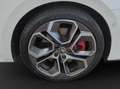 Skoda Octavia Combi 2.0 TSI RS Plus StHz Edition DSG Weiß - thumbnail 13
