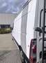 Renault Master Master dCi 130 L2H2/11200NETTO/GARANTIE Blanc - thumbnail 6