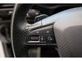 CUPRA Ateca 2.0 TSI 4Drive Weiß - thumbnail 10