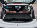 Citroen C1 1.0 CoolTech/Klima/1 Hand/ 5 Türig/Tüv-Neu White - thumbnail 7