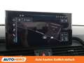 Audi Q5 40 TDI Mild-Hybrid quattro S line Grau - thumbnail 21