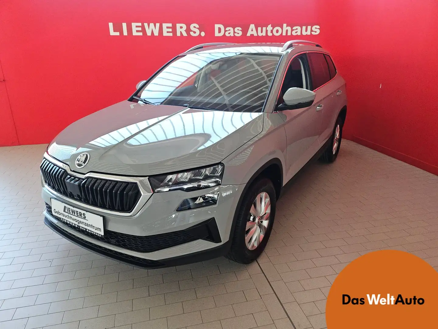 Skoda Karoq Ambition TSI DSG ACT Gris - 1