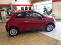 Fiat 500 500 1.0 hybrid Cult 70cv MY23 radio 7'' mirroring Rojo - thumbnail 7