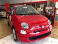 Fiat 500 500 1.0 hybrid Cult 70cv MY23 radio 7'' mirroring Rojo - thumbnail 8