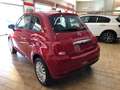 Fiat 500 500 1.0 hybrid Cult 70cv MY23 radio 7'' mirroring Rojo - thumbnail 5