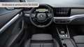 Skoda Octavia 2.0 TDI 150 CV DSG Executive Argento - thumbnail 8