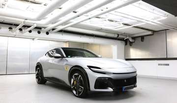 Carbon Painted shields