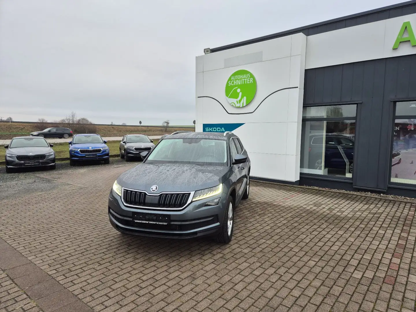 Skoda Kodiaq Style 4x4 ACC Kamera AHZV LED Grau - 1