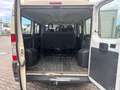 Fiat Ducato L1H1 250.0P1.0 Panorama Beige - thumbnail 8