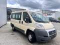 Fiat Ducato L1H1 250.0P1.0 Panorama Beige - thumbnail 5