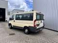 Fiat Ducato L1H1 250.0P1.0 Panorama Beige - thumbnail 3