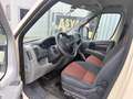 Fiat Ducato L1H1 250.0P1.0 Panorama Beige - thumbnail 9