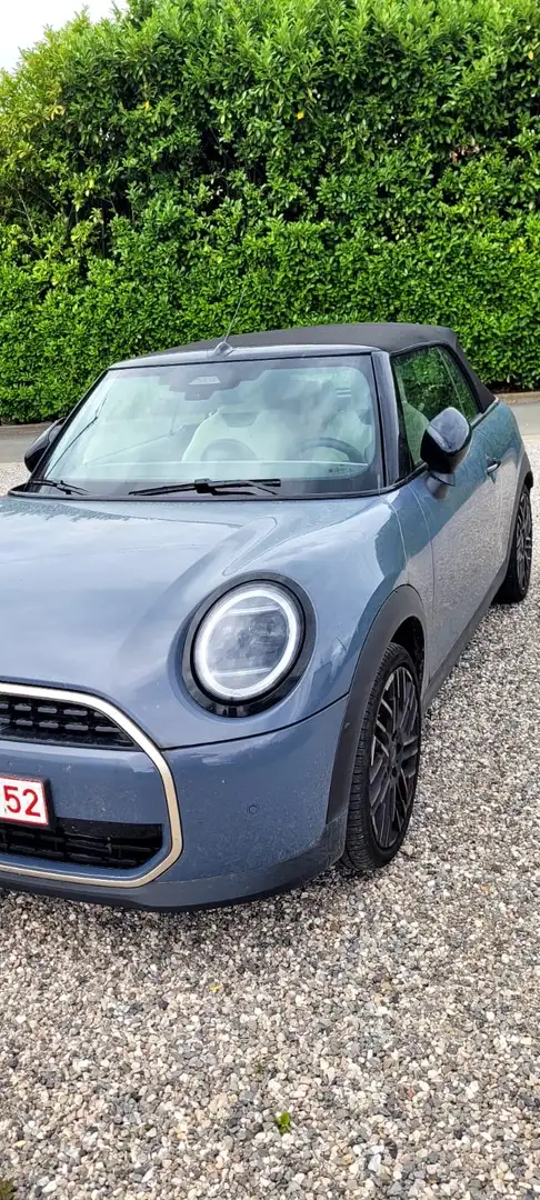MINI Cooper C Cabrio favoured - 1