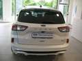 Ford Kuga ST-Line 2.5 Plug In Hybrid 225 CV CVT Full Optiono Blanc - thumbnail 4