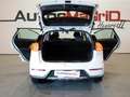 Kia Niro 1.6 GDi Híbrido Enchufable 104kW Concept Alb - thumbnail 7