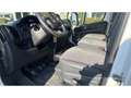Fiat Ducato L3 H2 Wit - thumbnail 17