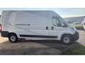 Fiat Ducato L3 H2 Wit - thumbnail 6