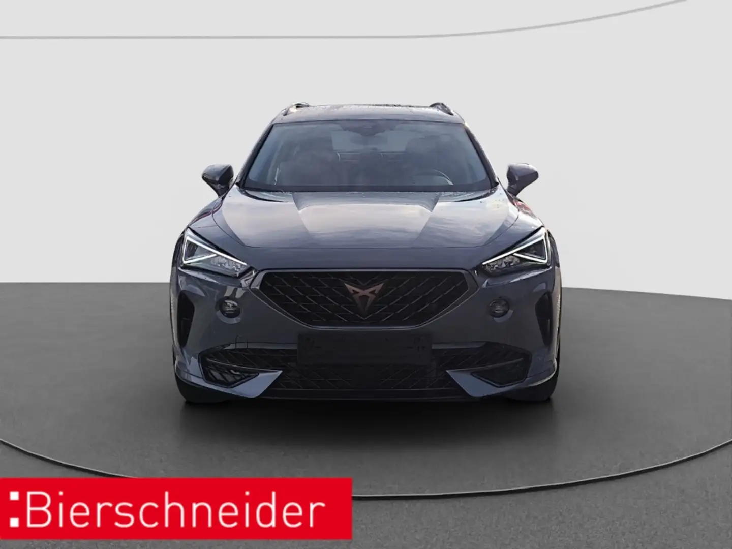 CUPRA Formentor 1.5 TSI DSG LED RFK PDC Grau - 2