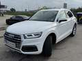 Audi Q5 Q5 40 TDI quattro S-tronic Matrix LED Weiß - thumbnail 2