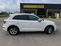 Audi Q5 Q5 40 TDI quattro S-tronic Matrix LED Weiß - thumbnail 3