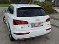 Audi Q5 Q5 40 TDI quattro S-tronic Matrix LED Weiß - thumbnail 4