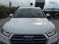 Audi Q5 Q5 40 TDI quattro S-tronic Matrix LED Weiß - thumbnail 5