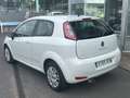 Fiat Punto 1.2 S&S Pop 51kW Blanco - thumbnail 3