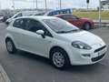 Fiat Punto 1.2 S&S Pop 51kW Blanco - thumbnail 2