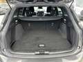 Ford Focus ST-Line Tra. 1,0 EBoost 125PS MHEV M6 F Grau - thumbnail 13