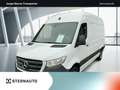 Mercedes-Benz Sprinter Sprinter 317 HD Autom/Navi/Klima/Sitzhzg/Kamera Weiß - thumbnail 1