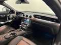 Ford Mustang Fastback 2.3 ecoboost 290cv UFFICIALE ITALIANA Gris - thumbnail 11