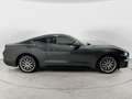Ford Mustang Fastback 2.3 ecoboost 290cv UFFICIALE ITALIANA Gris - thumbnail 7