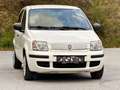 Fiat Panda 1.2 8V Classic / Klima / Benzin / Pickerl neu Weiß - thumbnail 8