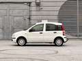 Fiat Panda 1.2 8V Classic / Klima / Benzin / Pickerl neu Weiß - thumbnail 1