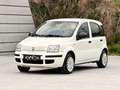 Fiat Panda 1.2 8V Classic / Klima / Benzin / Pickerl neu Weiß - thumbnail 5