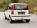 Fiat Panda 1.2 8V Classic / Klima / Benzin / Pickerl neu Weiß - thumbnail 14