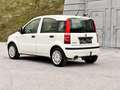 Fiat Panda 1.2 8V Classic / Klima / Benzin / Pickerl neu Weiß - thumbnail 15