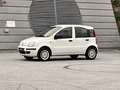 Fiat Panda 1.2 8V Classic / Klima / Benzin / Pickerl neu Weiß - thumbnail 3