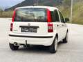 Fiat Panda 1.2 8V Classic / Klima / Benzin / Pickerl neu Weiß - thumbnail 13