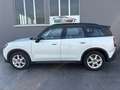 MINI Cooper Countryman Mini Countryman ***prezzo reale**** Bianco - thumbnail 6