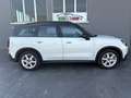 MINI Cooper Countryman Mini Countryman ***prezzo reale**** Bianco - thumbnail 2