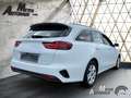 Kia Ceed SW / cee'd SW 1.5 T-GDI 140 PS DCT Vision + Komfort-plus-Paket Fehér - thumbnail 10
